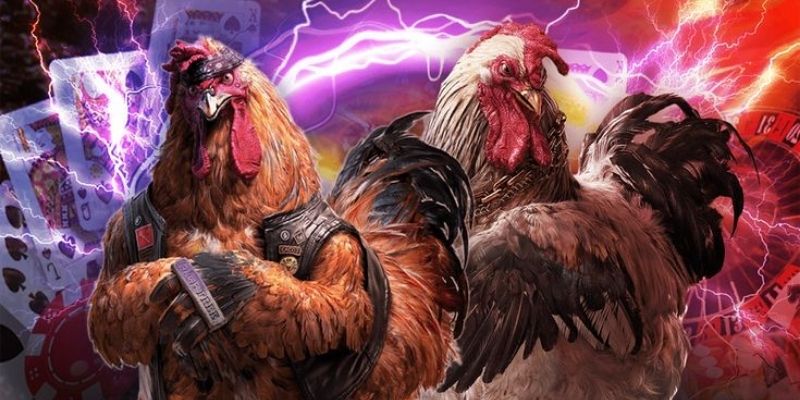 Bí quyết bất thủ và chắc chắn là nên tham khảo từ cao thủ