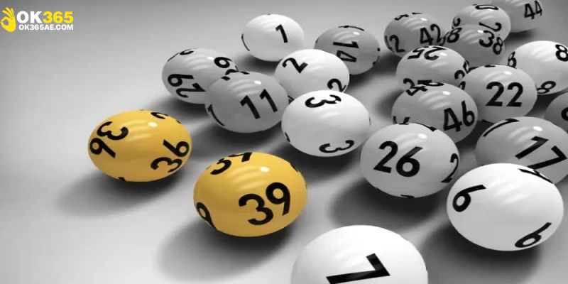 Lưu ý quan trọng bạn cần nhớ khi chơi lô 3 càng tại OK365